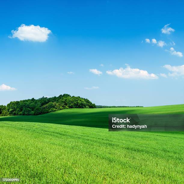 Praça 53mpix Xxxxl Paisagem De Primavera Prado Céu Azul - Fotografias de stock e mais imagens de Agricultura