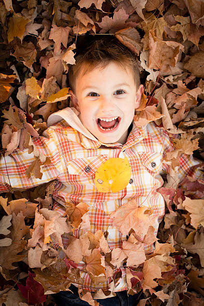 istock Cute Little Boy Laughing/Shouting While Buried in Fall Leaves 175001015