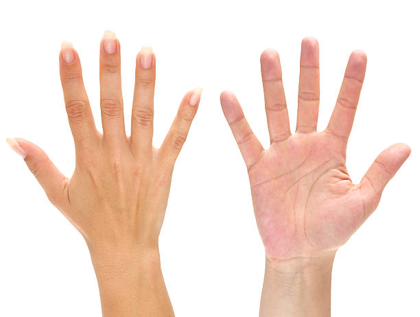 zwei hände - moving up human hand women reaching stock-fotos und bilder