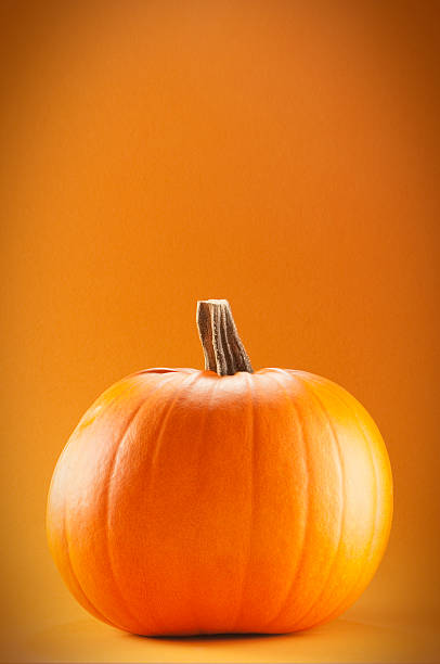 istock Single Orange pumpkin on an orange background 175001487