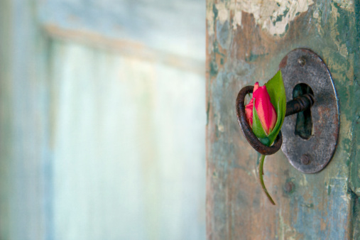 Rose hanging from an old key