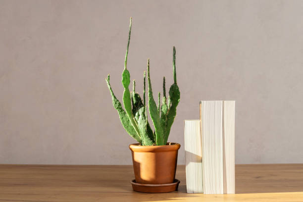 Mockup of minimal workspace for education. Warm sun lights