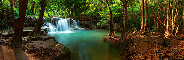 huay mae kamin cascada - waterfall thailand tropical rainforest tropical climate fotografías e imágenes de stock