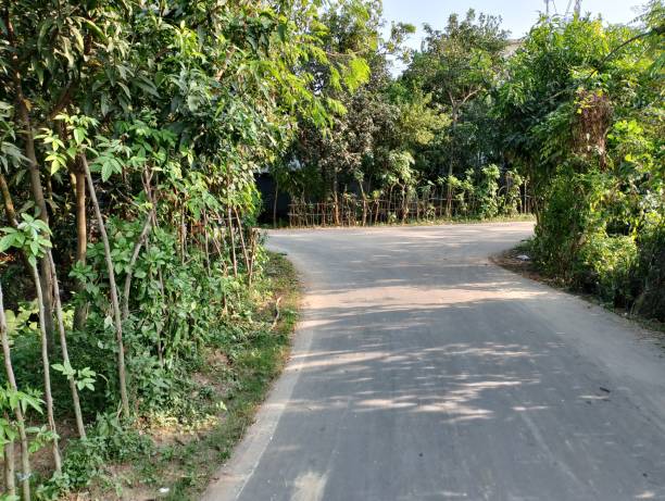 istock Surrounded by nature, this city is surrounded by beautiful forest roads. 1750073354