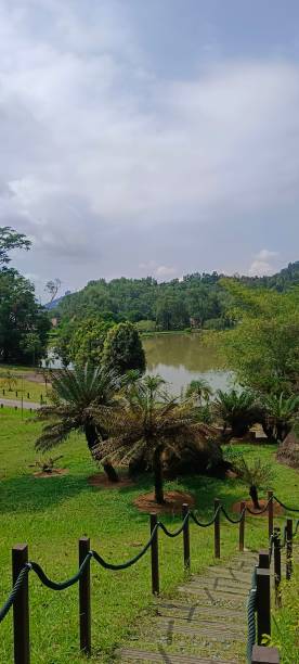 istock Kepong Forest Skywalk FRIM 1750093517