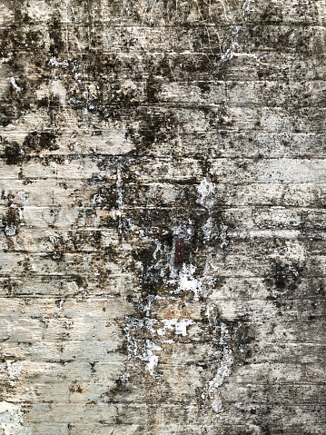 Weathered and dirty white brick wall with organic mould patterns contrasting the straight lines of the brickwork - a heavily textured background for graphic design.