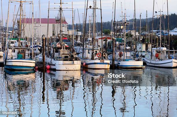 Charleston Stock Photo - Download Image Now - Charleston - Oregon, Harbor, Bay of Water