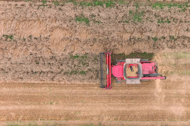 istock Agriculture machine harvesting golden ripe wheat field 1750115532