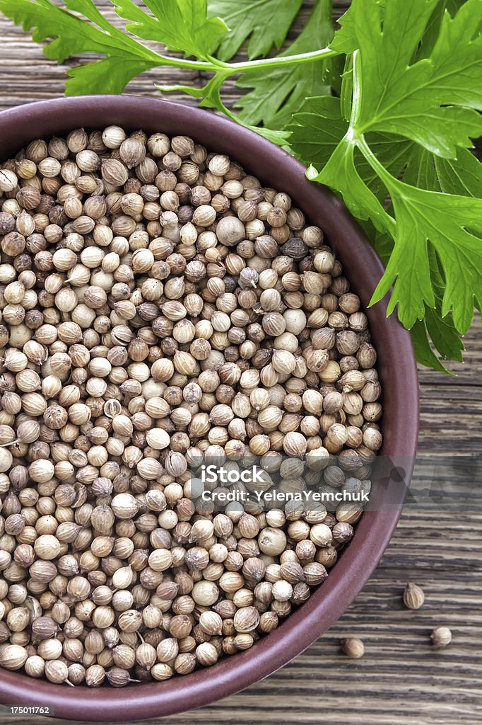 Koriander  - Lizenzfrei Ausgedörrt Stock-Foto