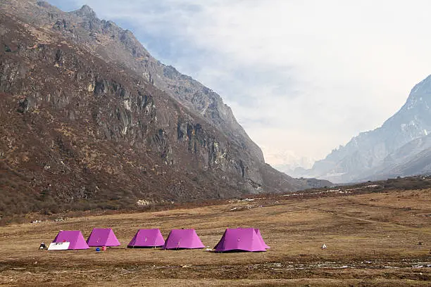 tangsin camp in goechala trek route himalaya india