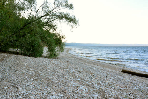 istock river bank with green tree and horizon copy space 1750121586
