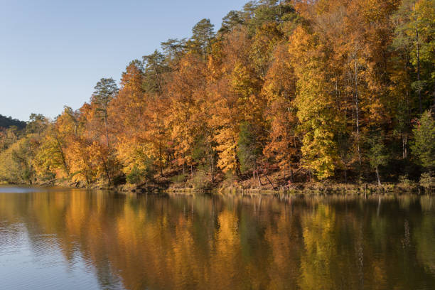 Autumn trees with red, orange, yellow, and green foliage contrast against the blue sky and reflect on Big Ridge Lake.