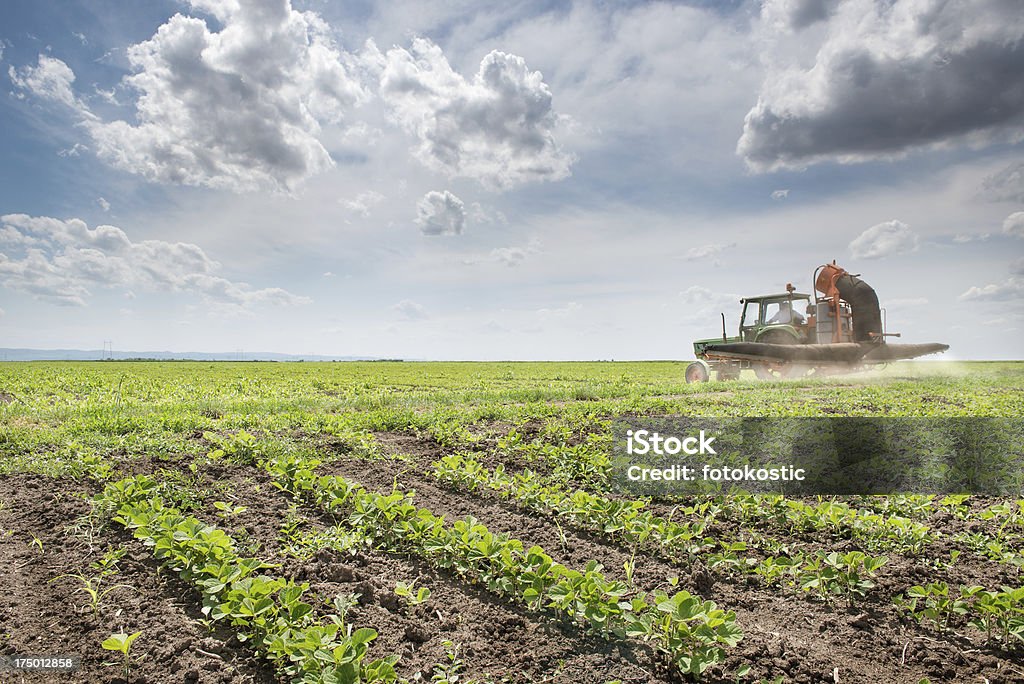 Tractor spraying soy Tractor spraying soy in the spring Agriculture Stock Photo