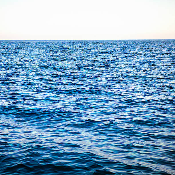istock In the open tropical sea 175012935