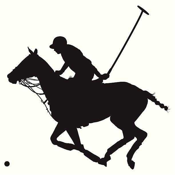 illustrations, cliparts, dessins animés et icônes de silhouette polo poney - polo