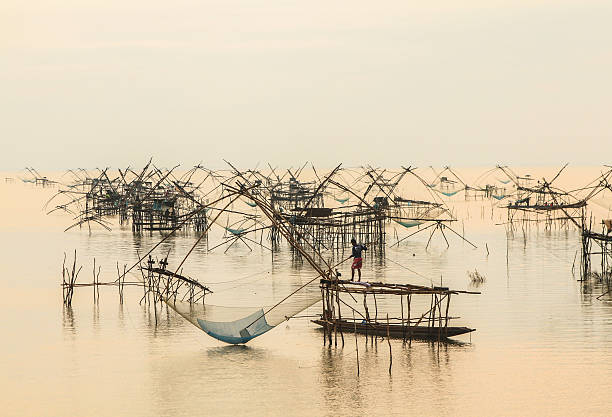 istock floating basket for keeping live fish in water before sunrise 175013054