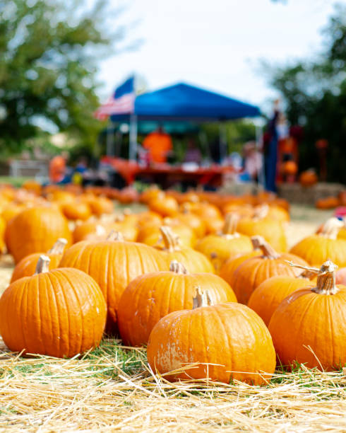 istock Pumpkin patch with selective focus blurred American flag in background at local Church Halloween event Dallas, Texas, USA, traditional holiday display decoration welcome festive 1750136526