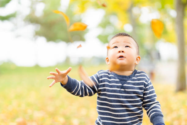 istock Cute little boy playing with maple leaves outdoors. 1750137151