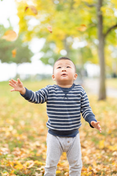 istock Cute little boy playing with maple leaves outdoors. 1750137153