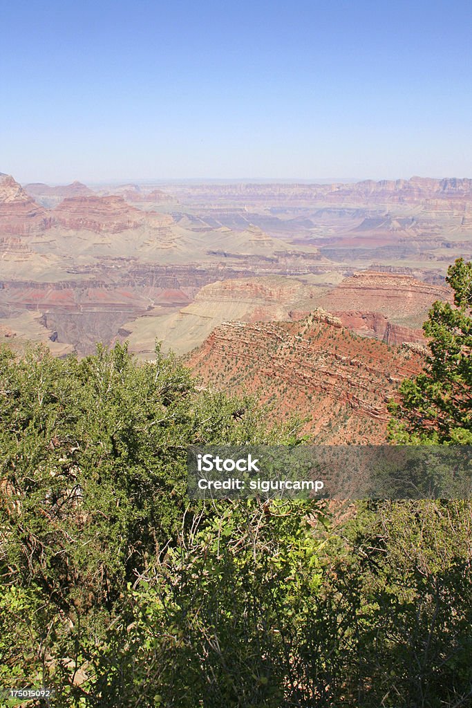 Parc national du Grand canyon en Arizona, États-Unis - Photo de Amérique du Nord libre de droits