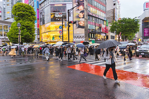 Tokyo, Japan - April 08, 2023: crowds with umbrellas at the Shibuya crossing with unidentified people. It is the worlds busiest pedestrian crossing, with as many as 3,000 people crossing at a time