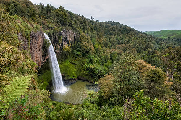 istock Bridal veil falls, New zealand 175017813