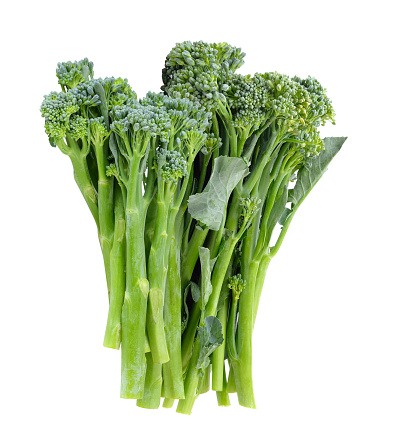 Broccoli isolated on white backgrond