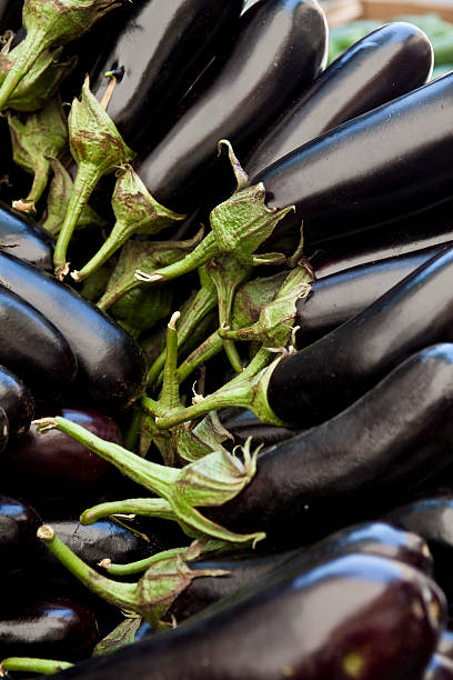 eggplants im street-markt - eggplant group of objects raw food eating stock-fotos und bilder