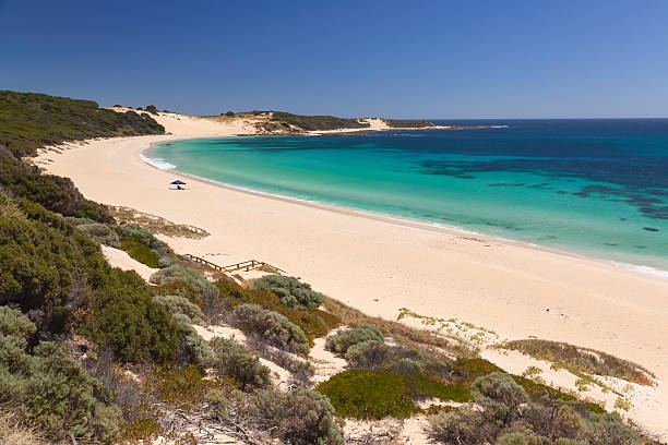 indijup beach - margaret river - fotografias e filmes do acervo