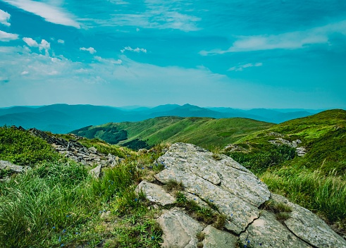 An enchanting vista of the Bieszczady Mountains, where rolling green peaks meet clear blue skies. This untouched corner of Poland showcases nature’s artistry, with lush forests and meadows painting a breathtaking landscape of serenity and beauty.