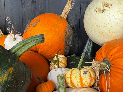 Display of colourful pumpkins for sale