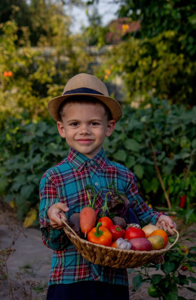 istock A child holds a harvest of vegetables in his hands. Selective focus 1750228256