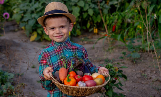 istock A child holds a harvest of vegetables in his hands. Selective focus 1750228257