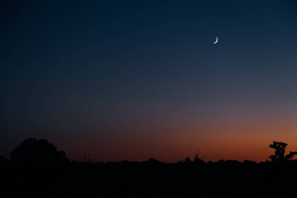 istock Red sunset and new moon in a beautiful sky 1750237255