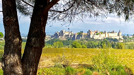 View through the trees of the belvedere of Carcassone