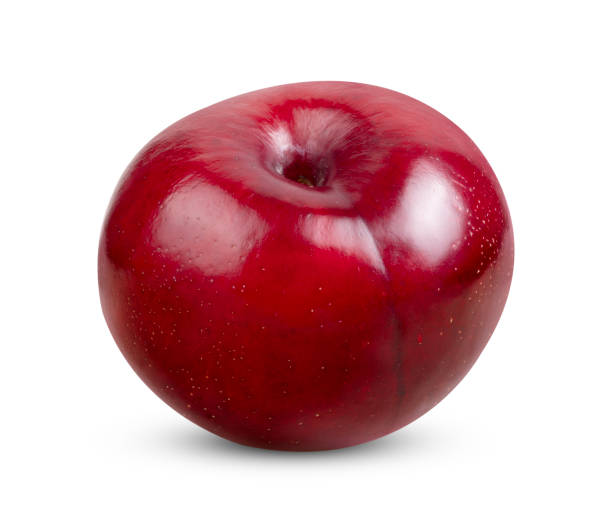 istock Red cherry plum isolated on white background. 1750252880