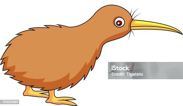 Kiwi Bird Cartoon Stock Illustration - Download Image Now - Animal, Animals  In The Wild, Bird - iStock