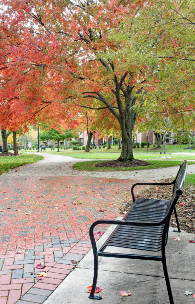 istock Urban Park Bench on A Rainy Autumn Day, Vertical 1750258415