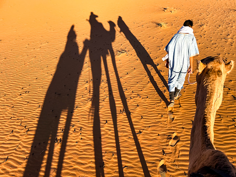 Young Bedouin man leading camel in Sahara Desert, Morocco.