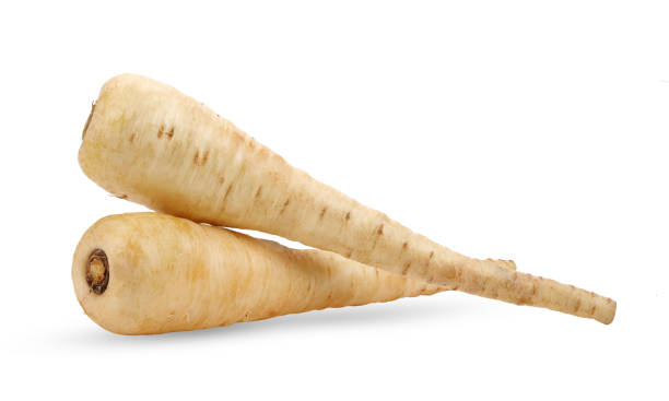 istock fresh parsnip roots on white background 1750281724