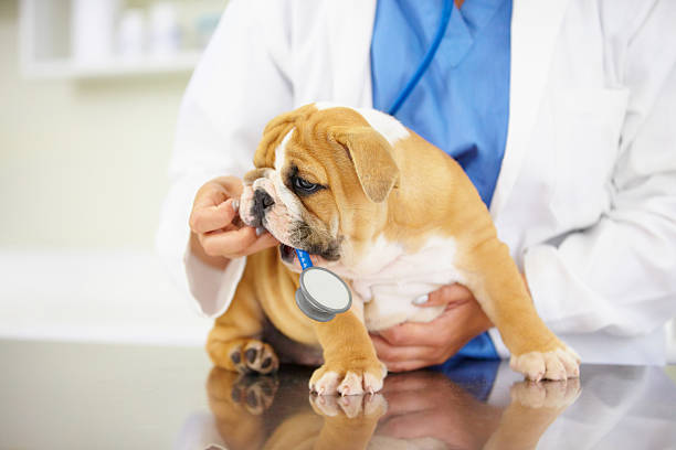 istock Play time at the clinic 175028939