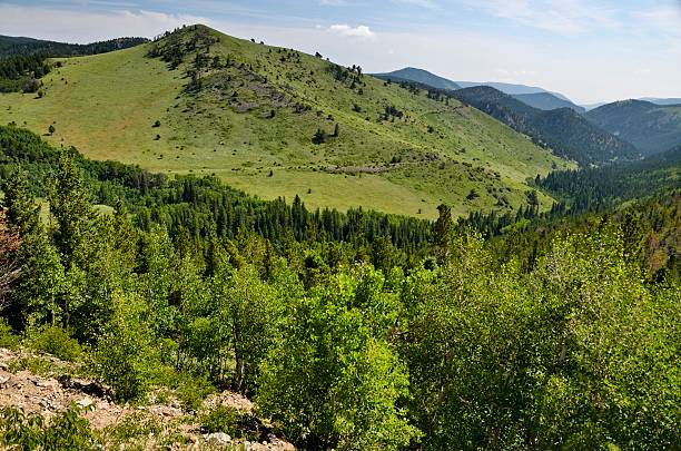 istock Colorado Landscape in Summer 175030145