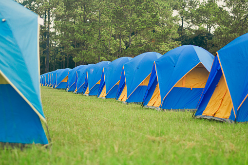 Tent sites lined up in lines, camping, tourist attractions, national park tent sites.