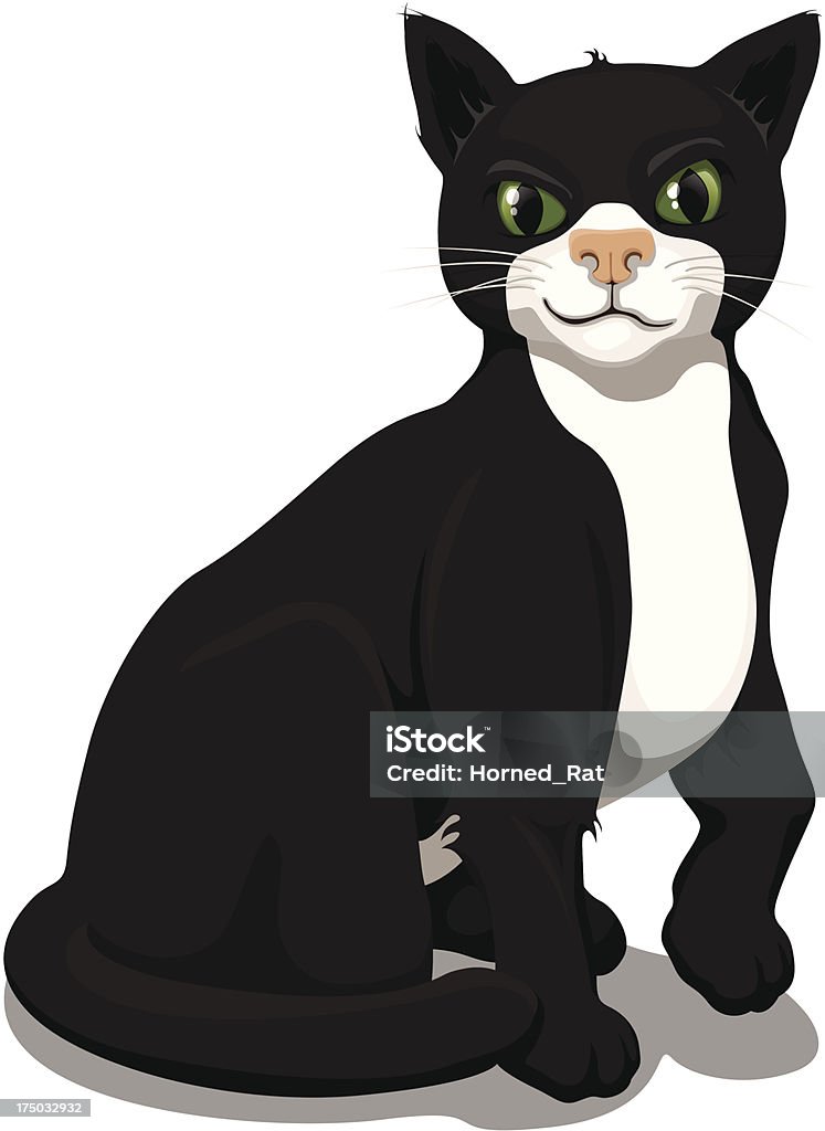 gato - Vetor de Animal royalty-free