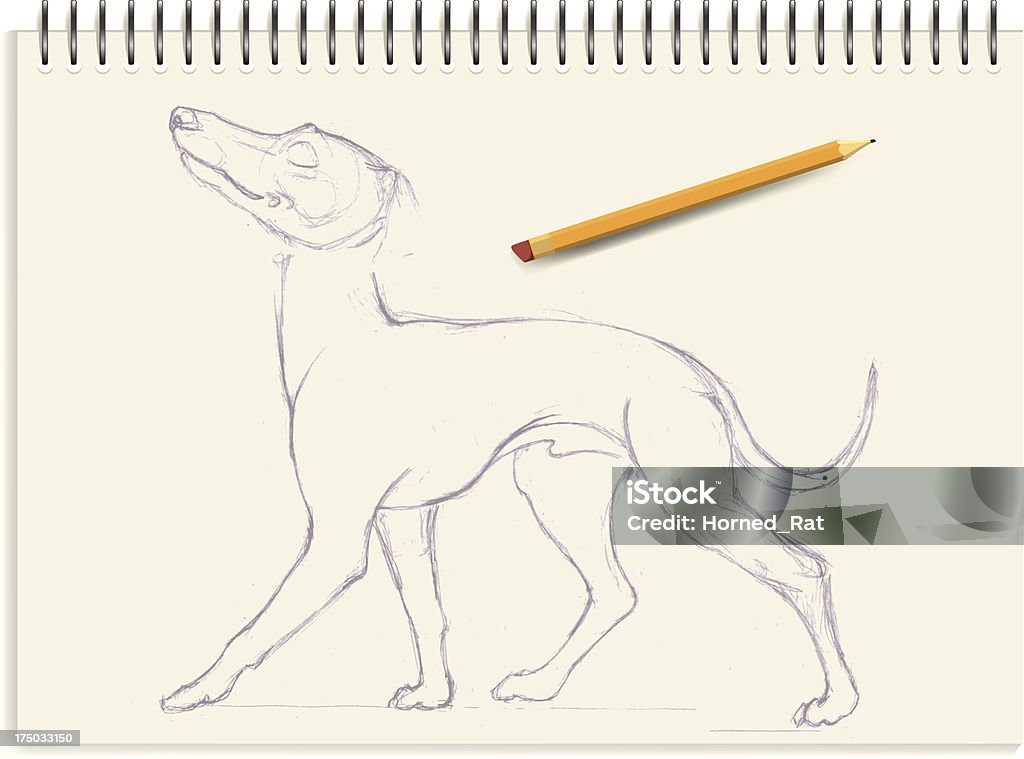 greyhound Italiano-desenho - Vetor de Greyhound Italiano royalty-free