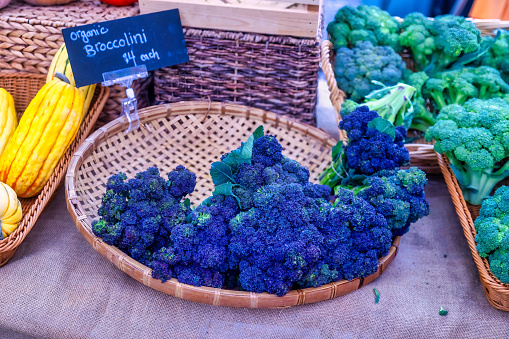 bundles of purple broccolini at the farm's market