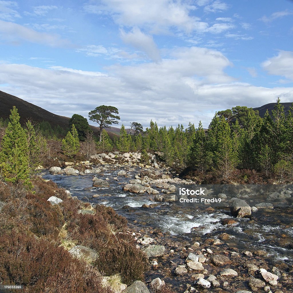Cairngorms góry, Gleann Laoigh Bheag, Szkocji w spring - Zbiór zdjęć royalty-free (Góry Cairngorm)