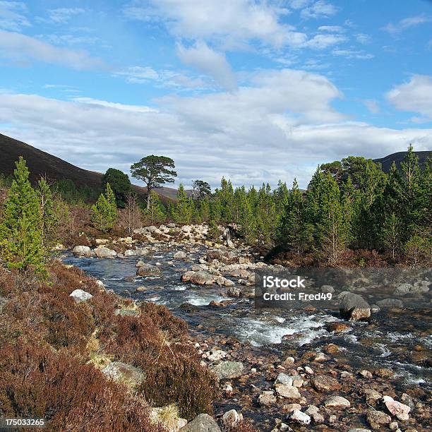 Cairngorms Góry Gleann Laoigh Bheag Szkocji W Spring - zdjęcia stockowe i więcej obrazów Góry Cairngorm