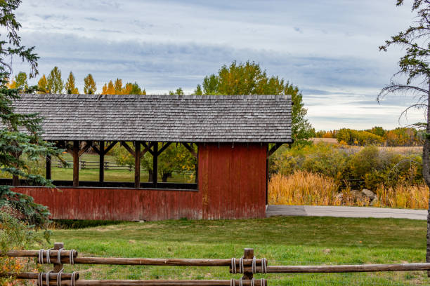 istock A drive through Foothills County Alberta Canada 1750370393