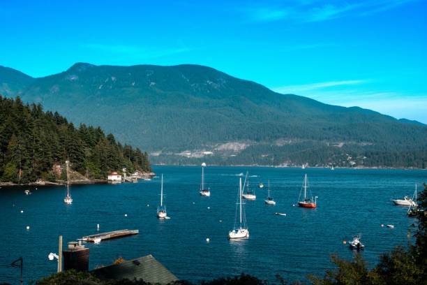 istock many boats on a lake near a mountain range with trees 1750370973
